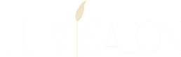 Luv Salon logo for our Mesa, AZ hair salon. 